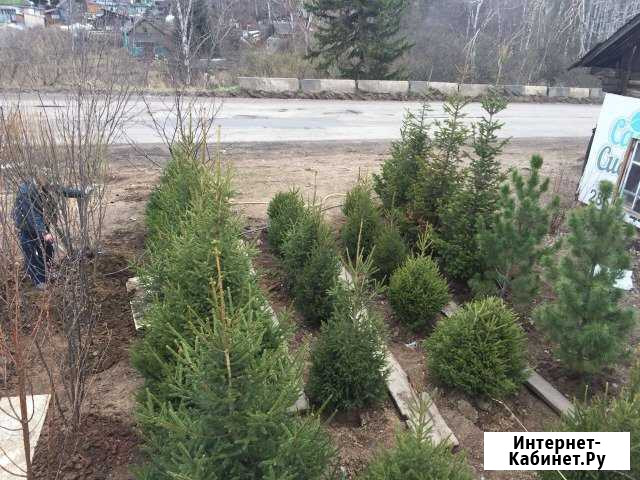 Ландшафтный дизайн Красноярск - изображение 1