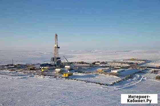 Дизельное топливо Летнее, Зимнее, Арктическое Новый Уренгой