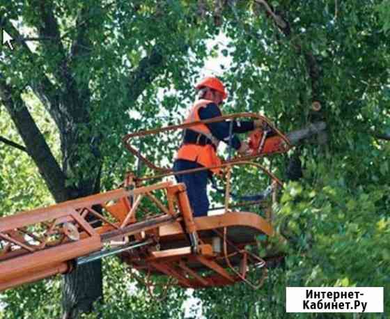 Спил деревьев. Аренда атовышки Новочеркасск