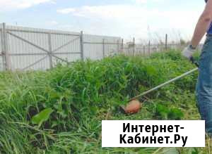 Покос травы Сенной - изображение 1