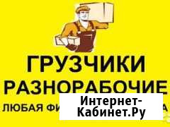Услуги грузчиков,разнорабочих Волгоград - изображение 1
