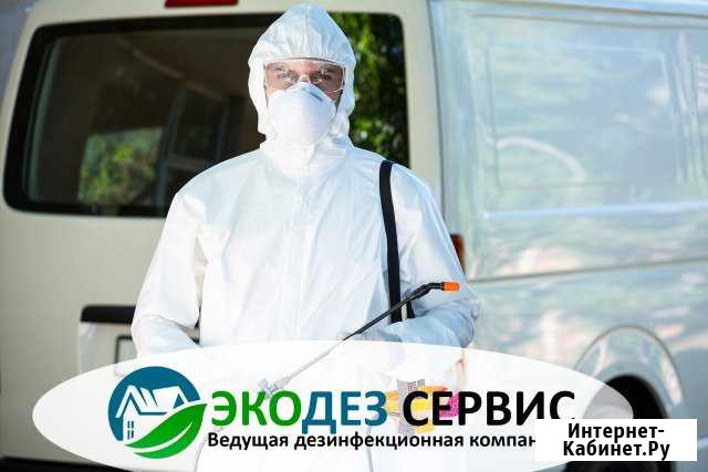 Уничтожение тараканов, клопов, блох, насекомых Салават - изображение 1