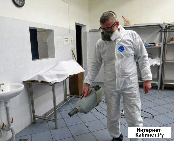 Уничтожение клопов, тараканов, блох, клещей Прокопьевск - изображение 1