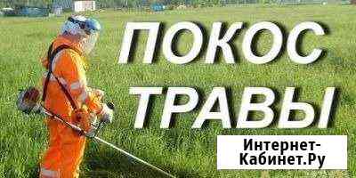 Покос травы Лиски