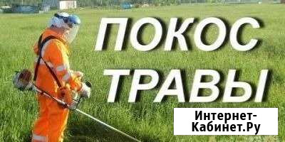 Покос травы Лиски - изображение 1