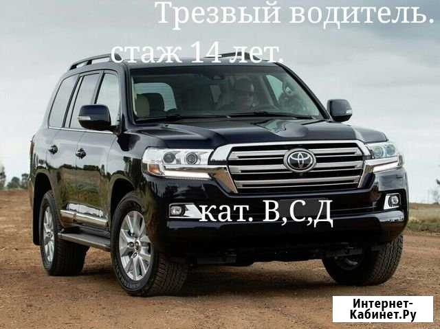 Трезвый водитель для вас и вашего авто. Категории Новосибирск - изображение 1