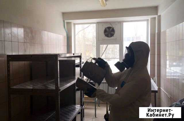 Уничтожение тараканов, клопов, мышей, крыс Реутов - изображение 1