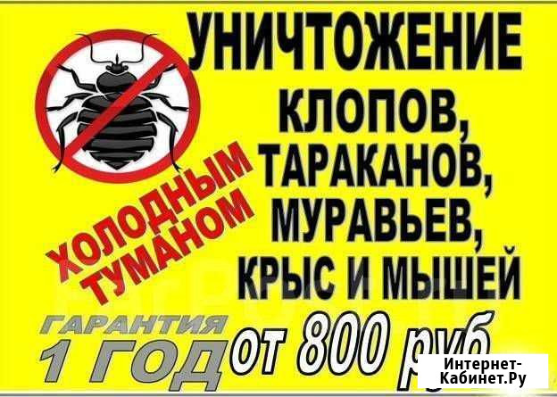 Уничтожение клопов, тараканов, крыс, мышей, клещей Сочи - изображение 1