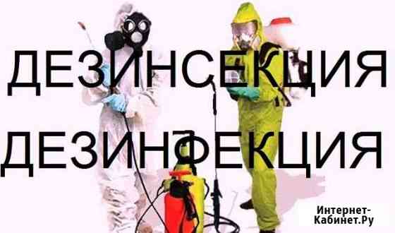 Обработка помещений от насекомых и грызунов Москва