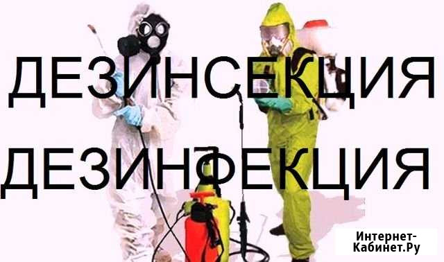 Обработка помещений от насекомых и грызунов Москва - изображение 1