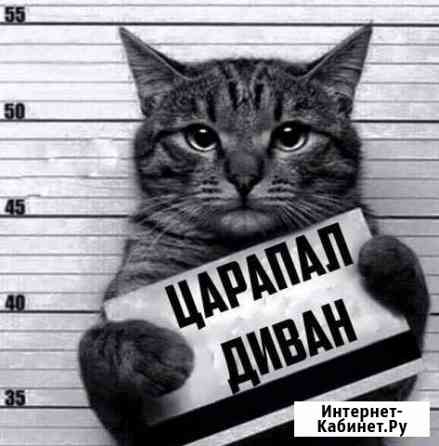 Ремонт и перетяжка мягкой мебели Нефтекамск