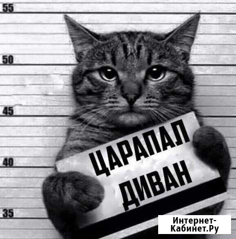 Ремонт и перетяжка мягкой мебели Нефтекамск - изображение 1