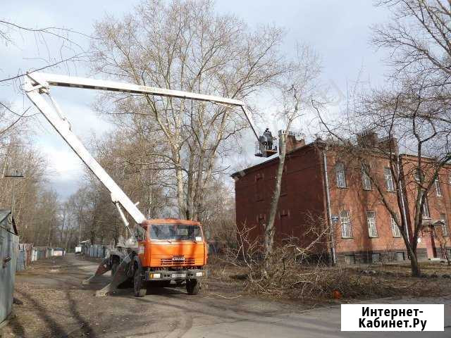 Спил деревьв,вывоз Армавир - изображение 1