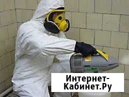 Уничтожение клопов и тараканов Челябинск - изображение 1