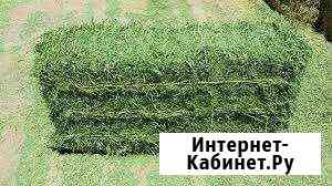 Сено Ленинградская