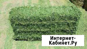 Сено Ленинградская - изображение 1