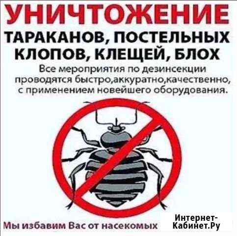 Уничтожение насекомых Железногорск