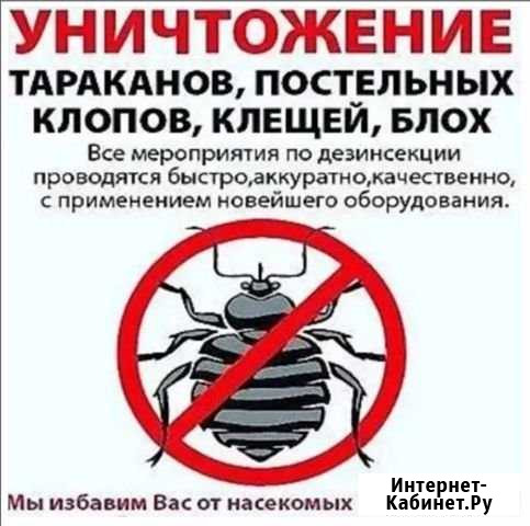 Уничтожение насекомых Железногорск - изображение 1