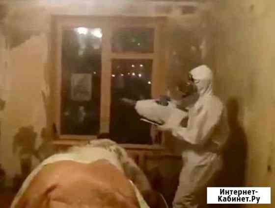 Уничтожение клопов, тараканов, плесени, крыс Реутов