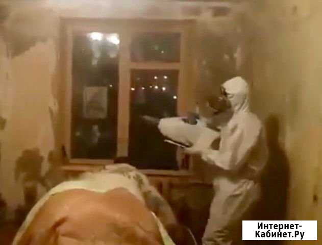 Уничтожение клопов, тараканов, плесени, крыс Реутов - изображение 1