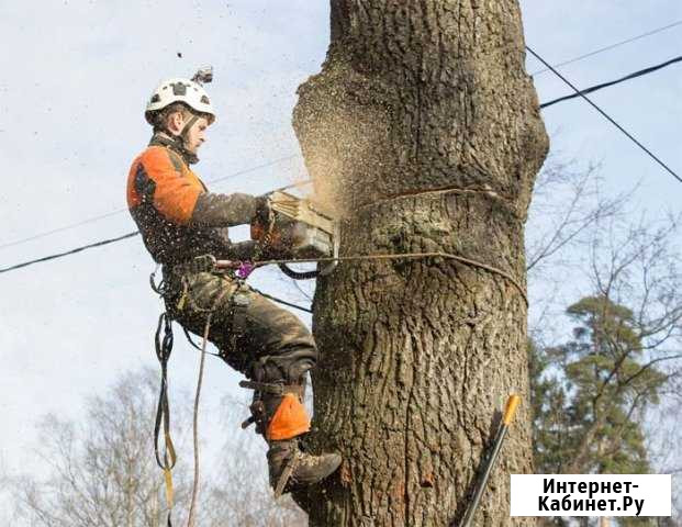 Спилю дерево Нижнекамск - изображение 1