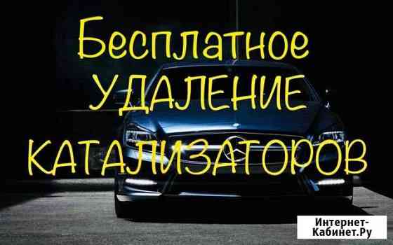 Бесплатное удаление катализаторов Волгоград