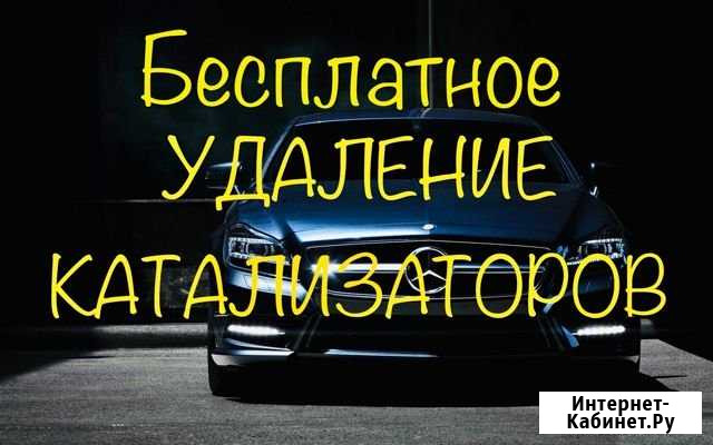 Бесплатное удаление катализаторов Волгоград - изображение 1