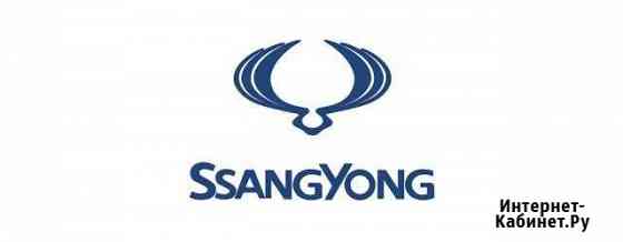 Диагностика ремонт ssang yong в спб и ло Санкт-Петербург