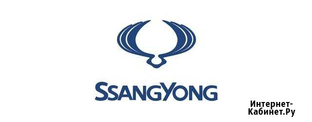 Диагностика ремонт ssang yong в спб и ло Санкт-Петербург - изображение 1