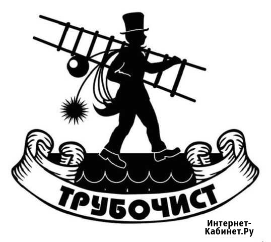 Чистка дымоходов Заринск - изображение 1
