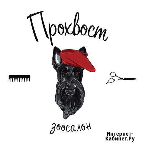 Груминг Петропавловск-Камчатский - изображение 1