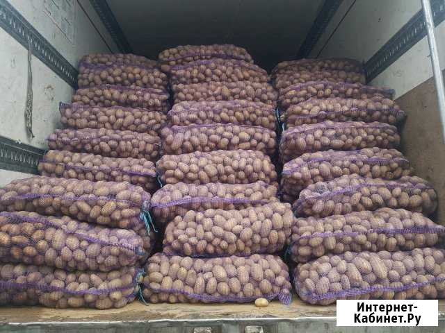 Продукты Питания Петрозаводск - изображение 1