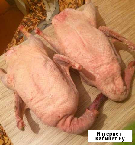 Мясо гуся Барнаул - изображение 1