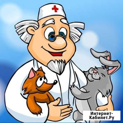 Кастрация,стерелизация на дому Москва - изображение 1