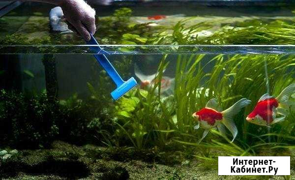 Обслуживание аквариумов, чистка аквариумов Москва - изображение 1