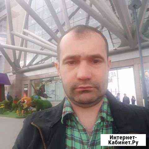 Выгул собак Москва