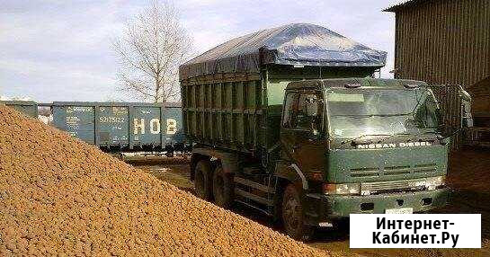 Услуги самосвалов Белгород - изображение 1