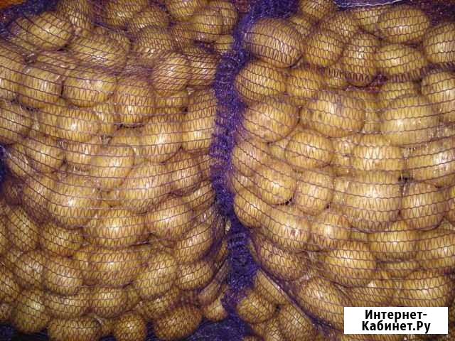 Продам Картофель Кемерово - изображение 1
