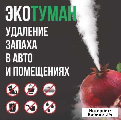 Сухой туман для устранение не приятных запахов Махачкала - изображение 1