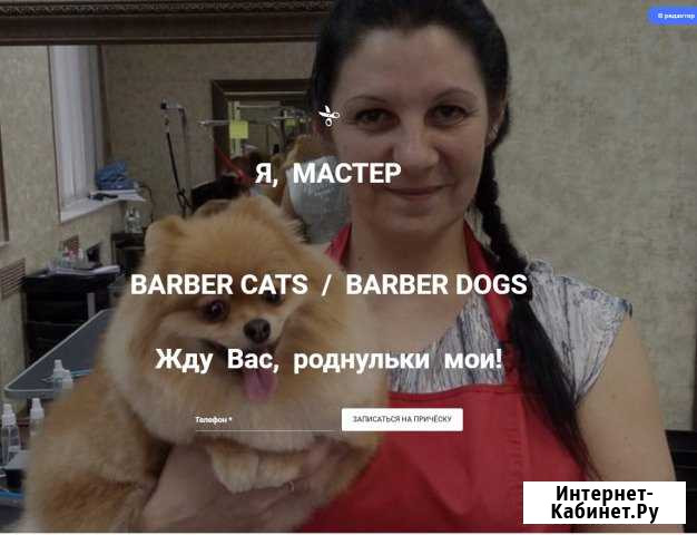 Мурка. Груминг. Стрижка собак. Стрижка кошек Новосибирск - изображение 1