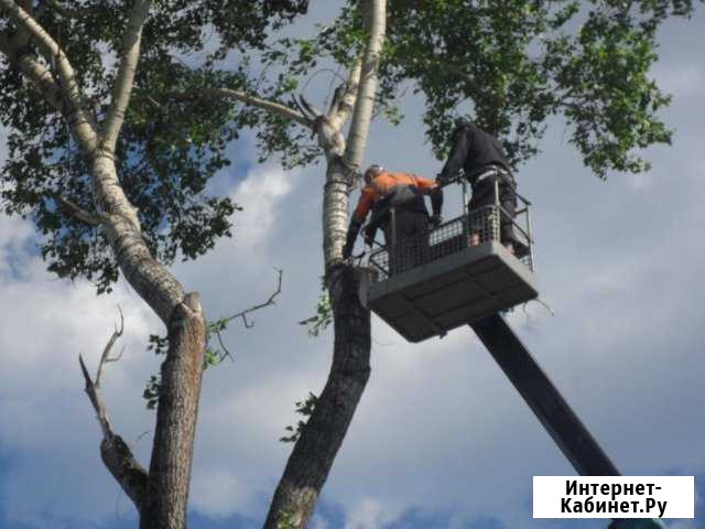 Спилим деревья, расчистим участок, демонтаж Туапсе - изображение 1
