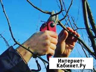 Садовод-агроном Махачкала - изображение 1