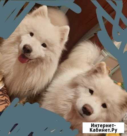 Фотосессия Старощербиновская - изображение 1