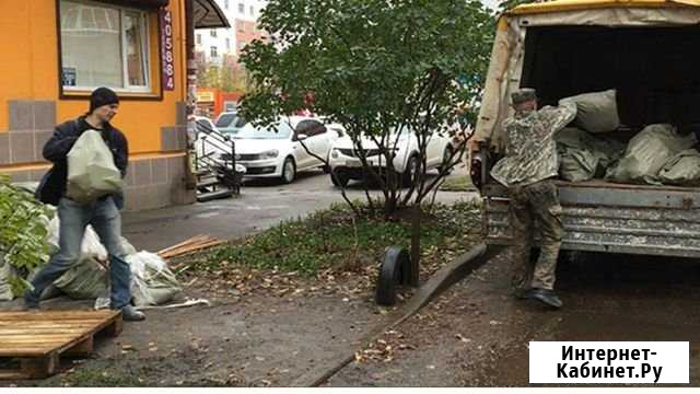 Вывоз мусора Санкт-Петербург - изображение 1