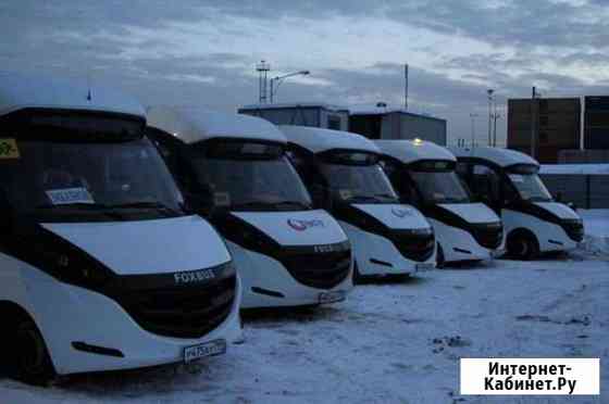 Аренда Заказ автобусов для детей, школьников, свад Москва
