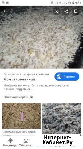 Жом свекловичный Черкесск - изображение 1
