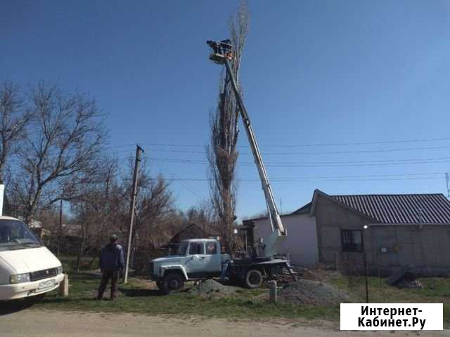 Спил и обрезка деревьев Симферополь - изображение 1