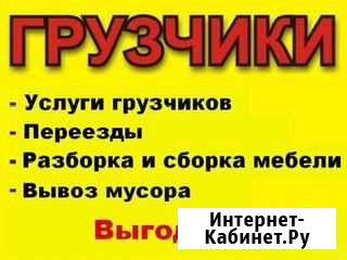 Грузчики/Вывоз мусора/Переезды Нижний Новгород - изображение 1