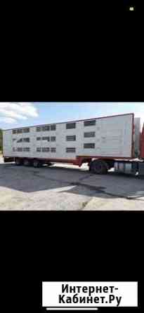 Перевозка скота Ставрополь