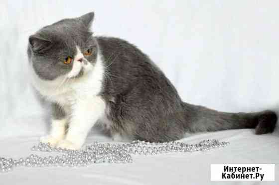 Вязка Санкт-Петербург